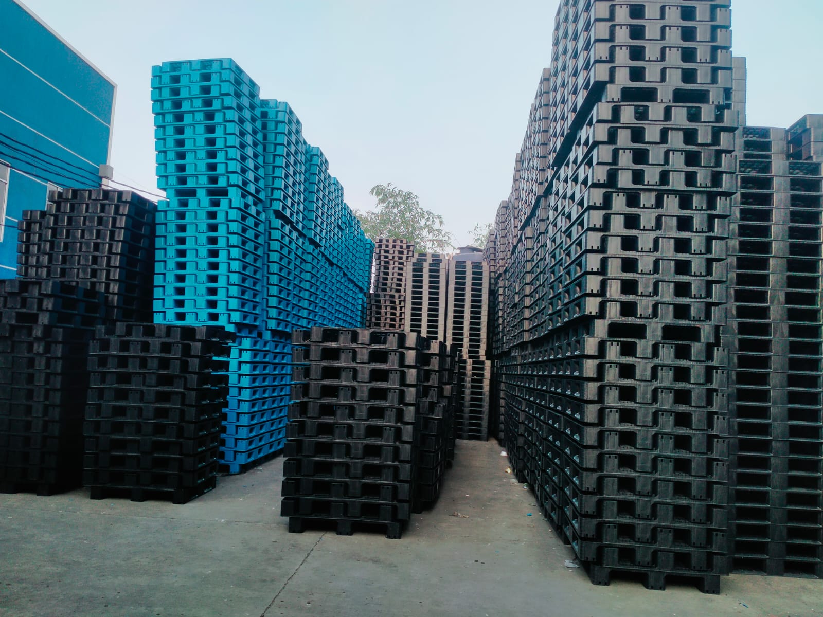 Pallet plastik cilegon 